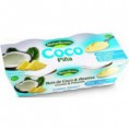 /products/postre-coco-pi%c3%b1a-bio-2x125-g-naturgreen/